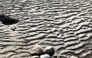 Textured sand during low tide.